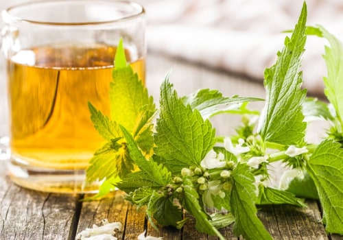 The Incredible Health Benefits of Nettle Tea